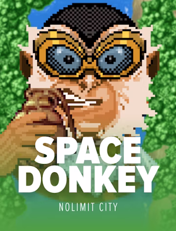 SPACE DONKEY